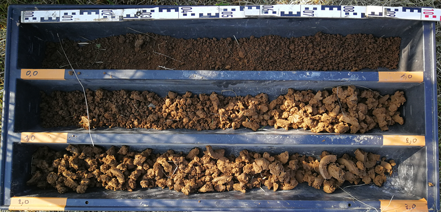 Resultats-du-forage_mini-(1).png